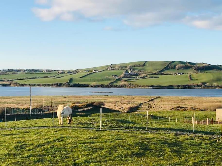 The Snuggly Sheep Farm Shepherd Hut *